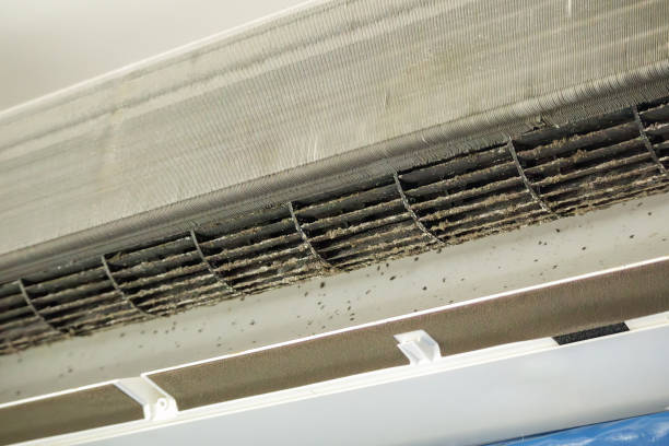 Best Emergency Air Duct Cleaning  in East Mckeesport, PA
